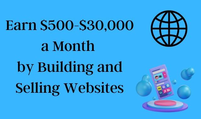 Earn $500-$30,000 a Month by Building and Selling Websites