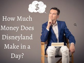 How Much Money Does Disneyland Make in a Day?