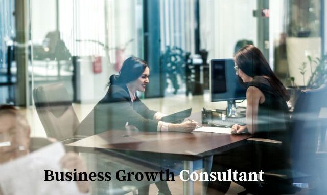 Business Growth Consultant for your business